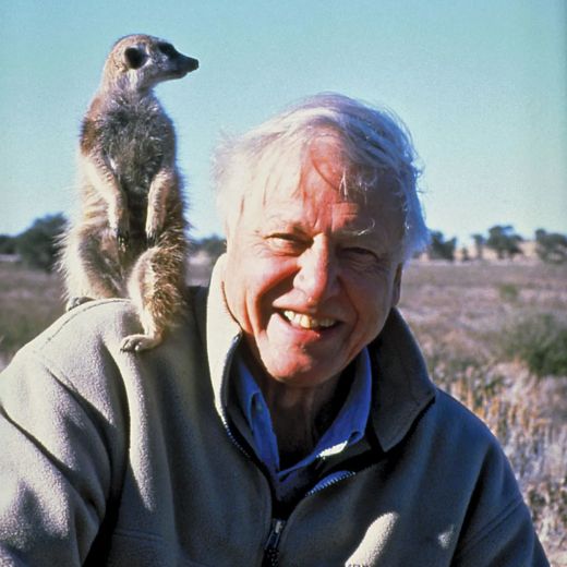 David Attenborough