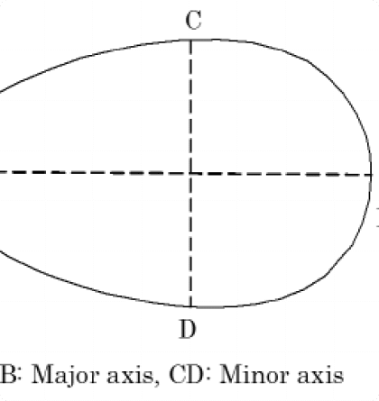 50+ IB Maths AA IA Ideas